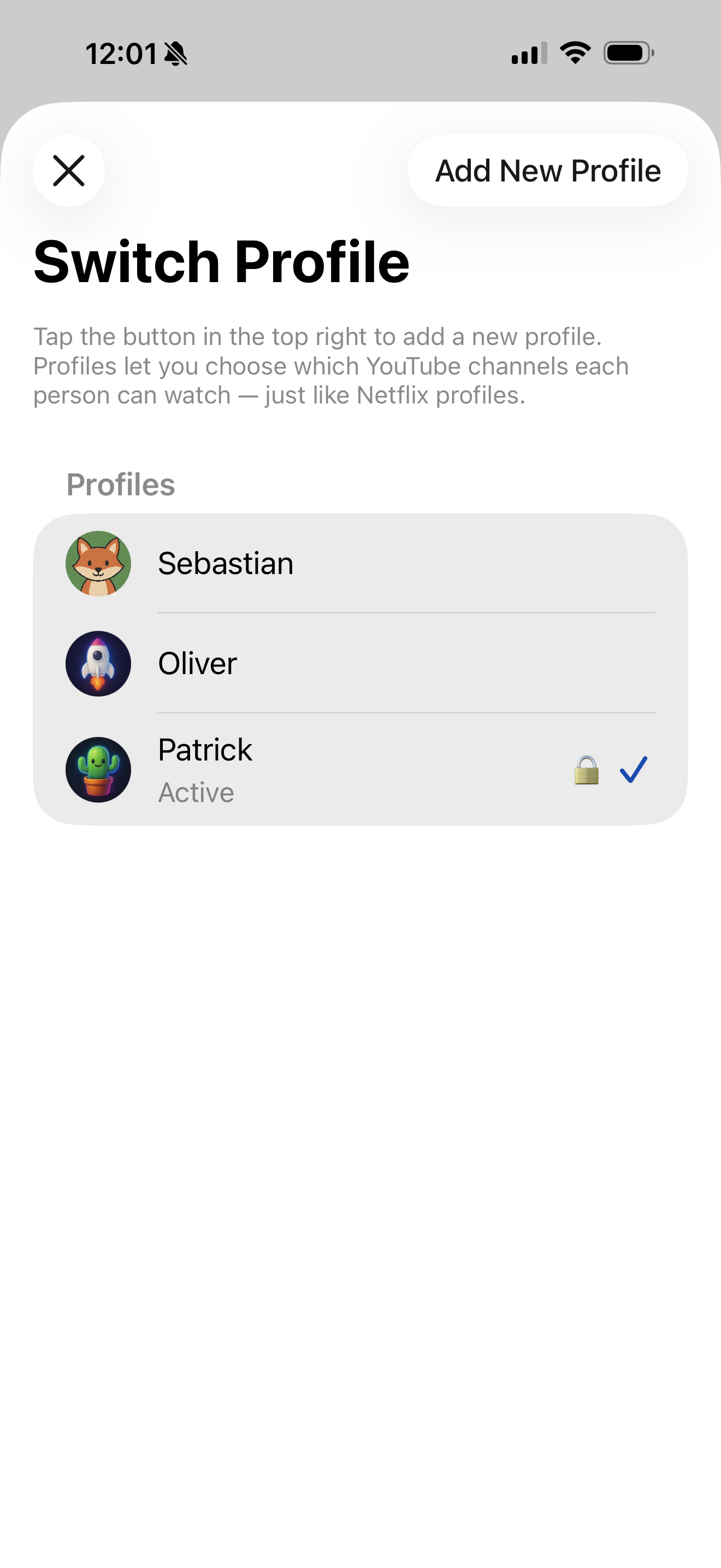 App screenshot 3